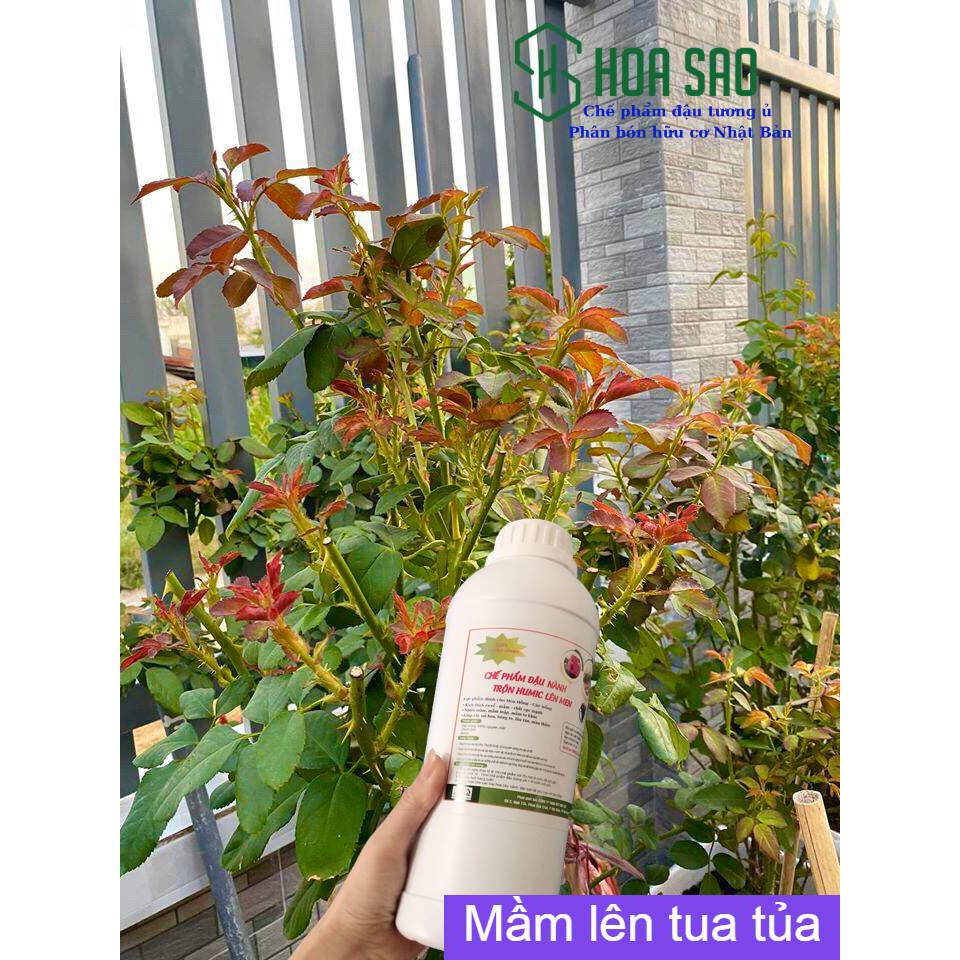 Chế phẩm đậu tương ủ trứng chuối Humic 🌺 Freeship 🌺 chế phẩm đậu nành humic, bật mầm, sai hoa