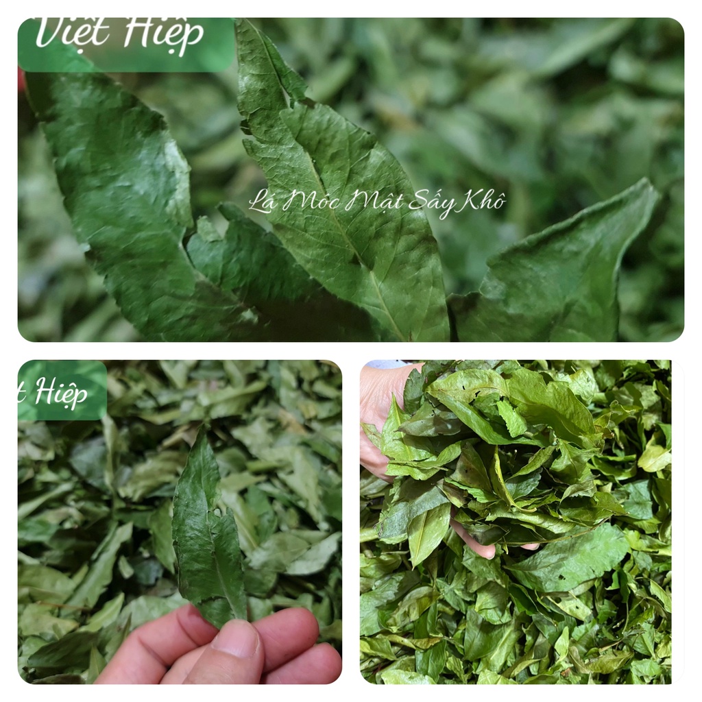 Lá Mắc Mật Sấy Khô Việt Hiệp