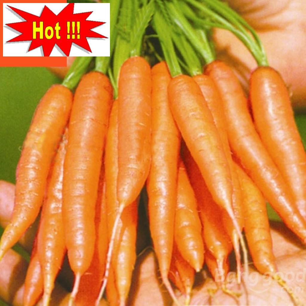 Hạt giống Cà rốt tí hon (0,2g)