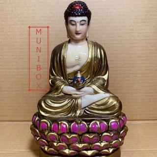 Tượng phật dược sư lưu ly quang vương như lai ngồi 25cm