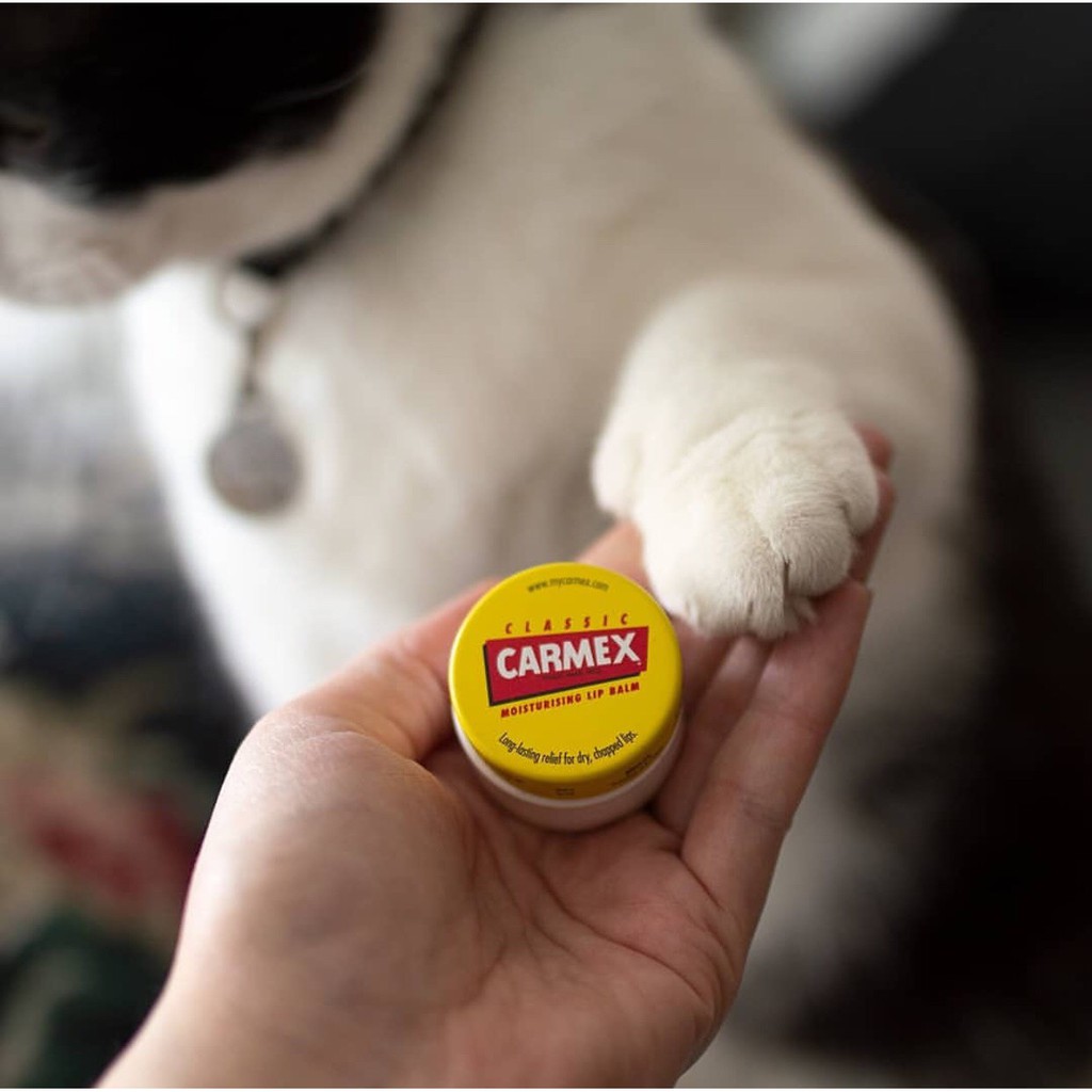 [Bill Mỹ] Son dưỡng môi Carmex dạng hũ