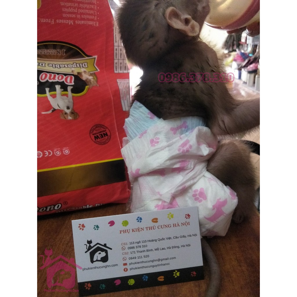  Bỉm cho chó mèo, tả cho chó CÁI DONO Disposale Diapers - Phụ kiện thú cưng Hà Nội