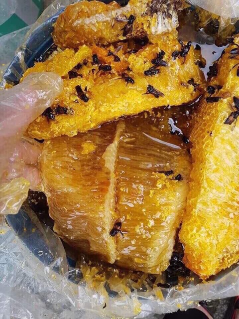 Mật ong rừng nguyên chất | BigBuy360 - bigbuy360.vn