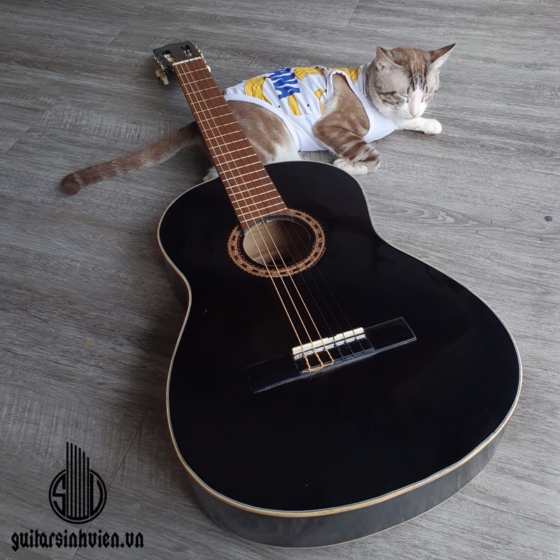 Đàn guitar classic SV-C1 gỗ thông có ty - Đàn tập chơi không đau tay