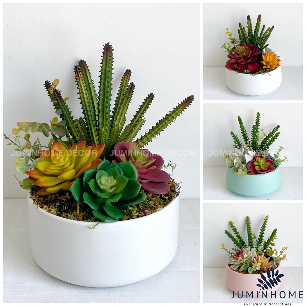 Cây giả Decor - Chậu sen đá miệng thấp mini Decor trang trí để bàn