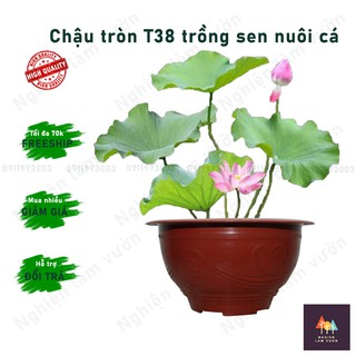 Chậu nhựa tròn dập hoa văn nổi màu đỏ mã CN10T38 loại không có lỗ thoát nước chuyên trồng hoa sen Size T38 (36,5x19,2cm)
