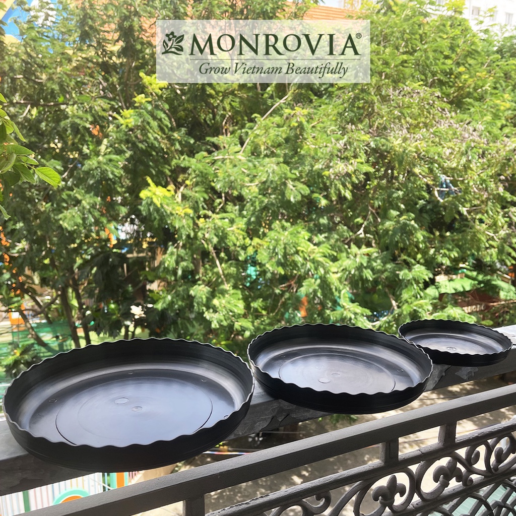 Đĩa lót chậu nhựa trồng cây MONROVIA để bàn, treo ban công, treo tường, thiết kế tinh tế, tiêu chuẩn Châu Âu