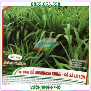 1kg hạt giống cỏ sả lá lớn mobasa ghine