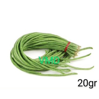 Hạt giống đậu đũa cao sản hạt đen
