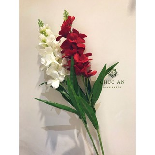 cành phi yến đỗ quyên siêu đẹp