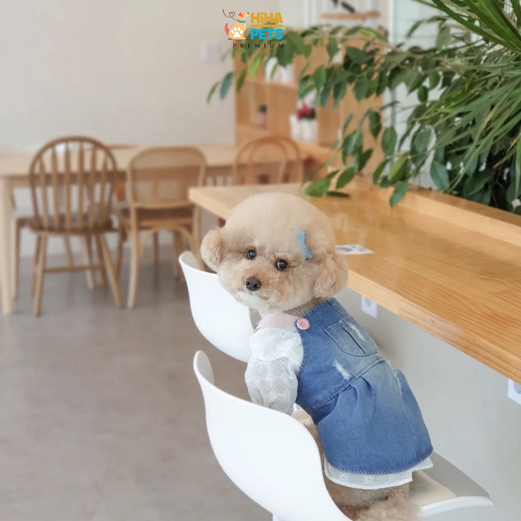 Yếm Cho Cún Mèo Chất Vải Cao Cấp Mặc Mát Mẻ Mùa Hè 2022 Quần Áo Thú Cưng Thời Trang Hàn Quốc Hihapet.