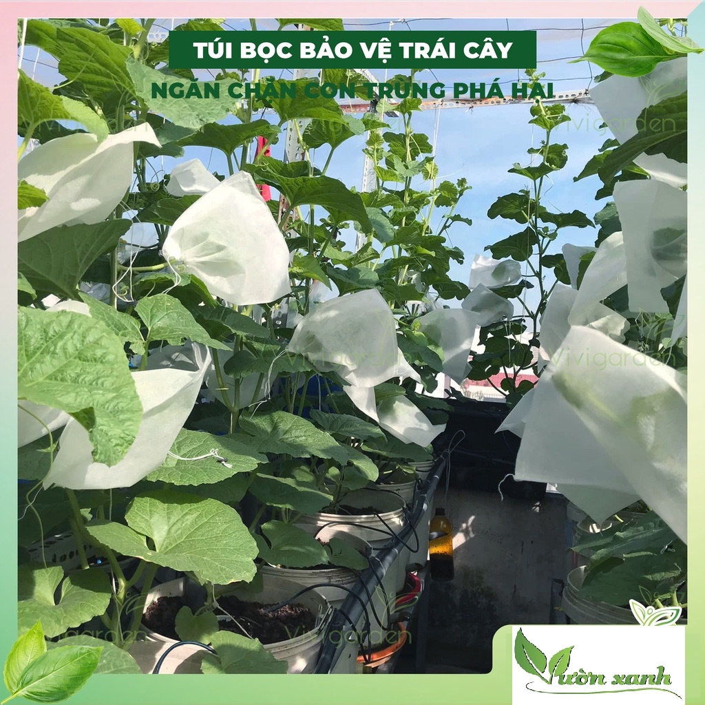 Set 20 túi bọc dưa lưới KT 30 x 30cm, bọc bưởi, bọc nhãn kiểu dây rút , bao trái Ánh Dương