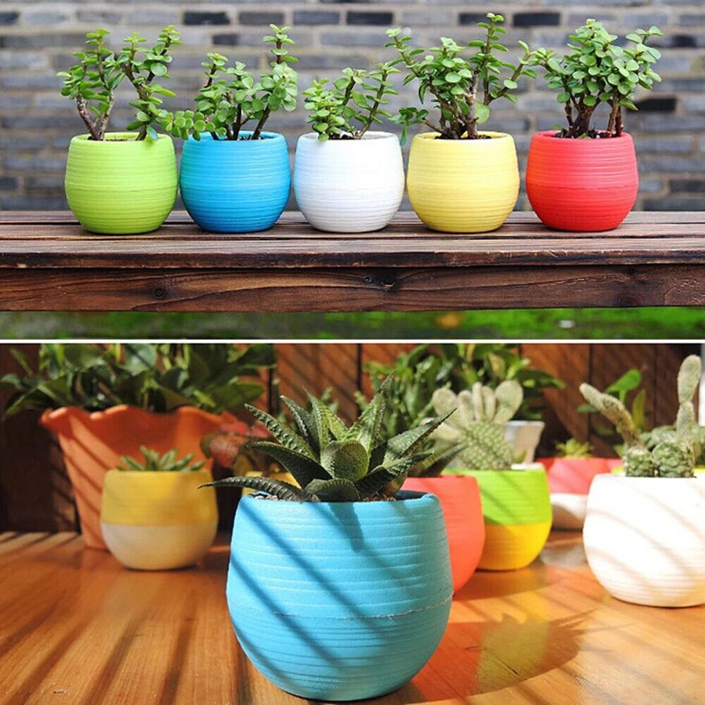 Chậu hoa nhỏ gọn mini dễ thương nhiều màu sắc 7x7cm