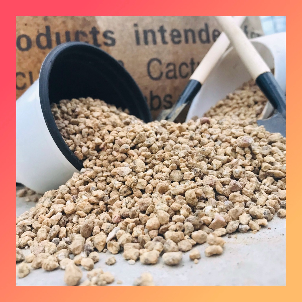 ĐÁ RẢI MẶT CHẬU MASATO (1KG) CHO SEN ĐÁ, XƯƠNG RỒNG