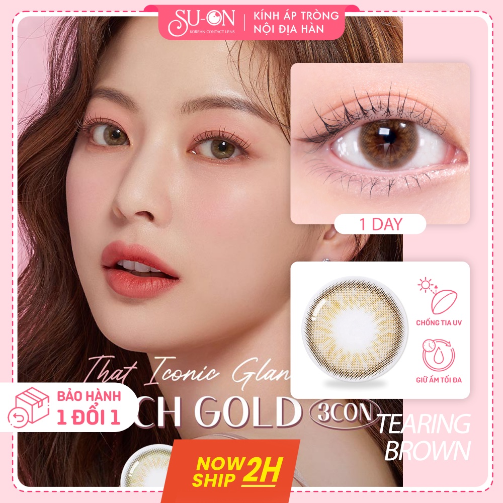 Lens 1 ngày Olens French Gold 3con Gray/Hazel áp tròng 14,2mm, nâu tây long lanh Hàn Quốc, siêu êm đeo 24h