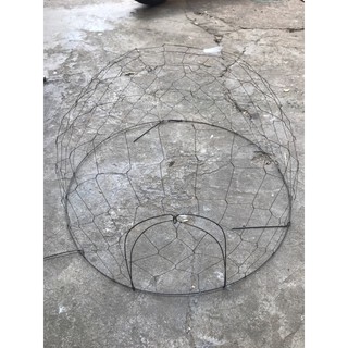 Bội bẫy chim cu gáy ụp mềm ( ụp cu đất )