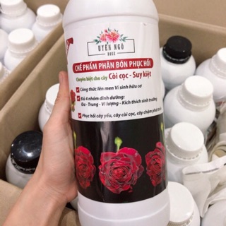 Phân bón phục hồi cho cây yếu, còi cọc,chậm phát triển