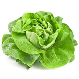 --- Hạt giống xà lách đăm 2g chất, giá rẻ.