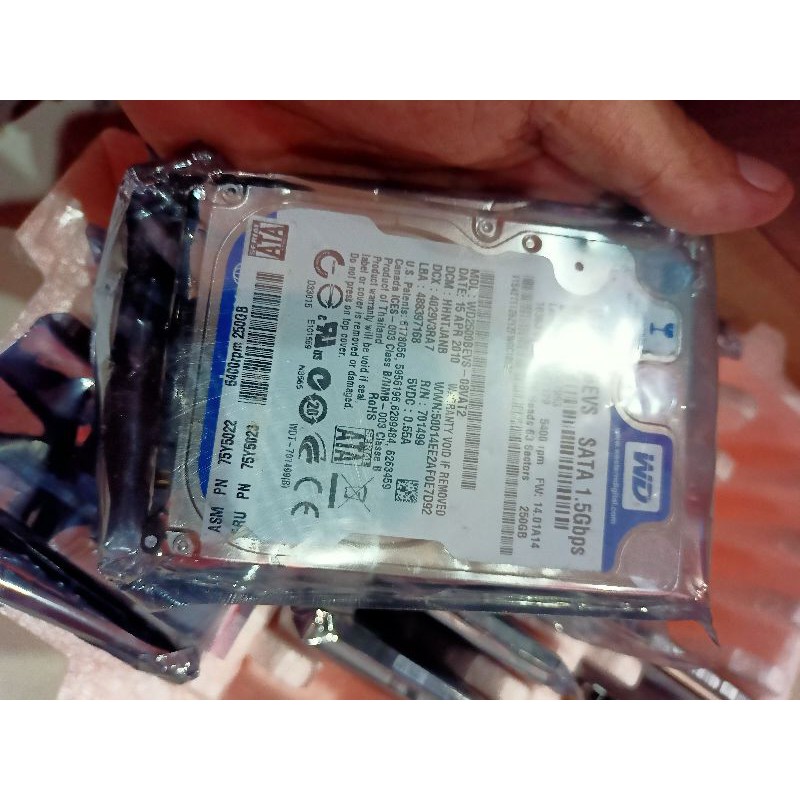 Ổ Cứng Laptop Hdd 250gb | BigBuy360 - bigbuy360.vn