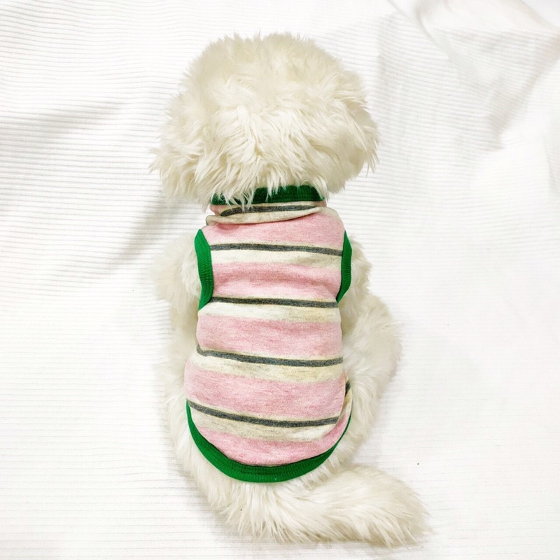 Áo sát nách dành cho thú cưng, Áo thời trang dành cho chó mèo LaLi Petfashion