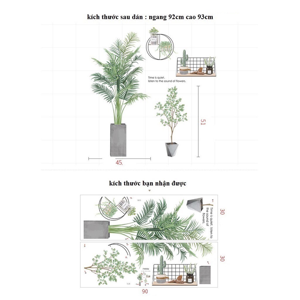 Decal dán tường cây cau  cảnh