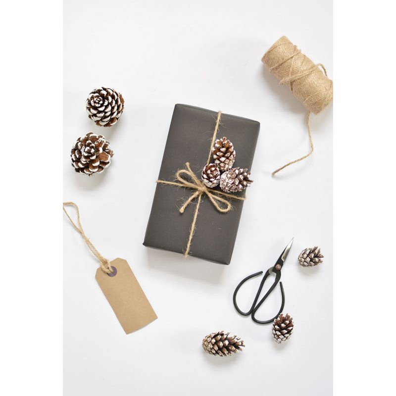 Cuộn 100m dây thừng