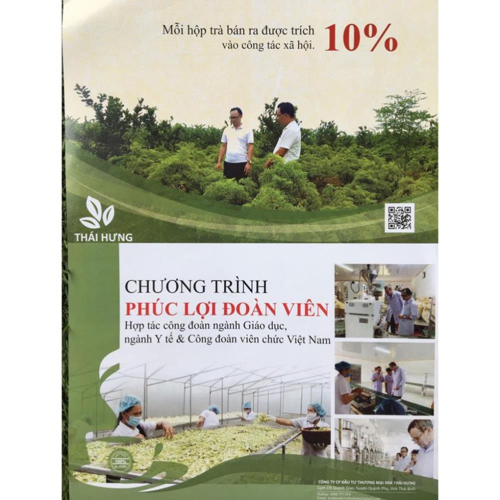 Bịch Trà Đinh lăng Thái Hưng 50 túi lọc siêu tiết kiệm - An Thần, Ngủ Ngon | BigBuy360 - bigbuy360.vn
