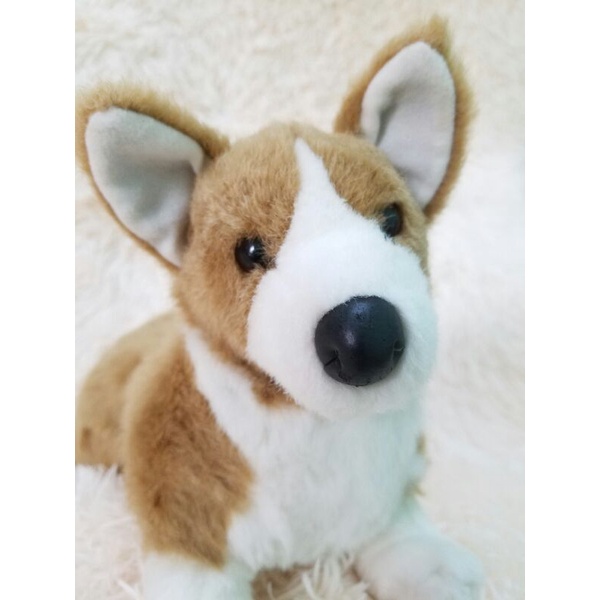 gấu bông con chó Corgi giống như thật chính hãng