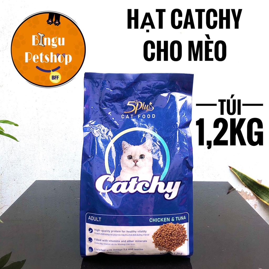 HẠT CATCHY CHO MÈO TRƯỞNG THÀNH VỊ GÀ & CÁ NGỪ