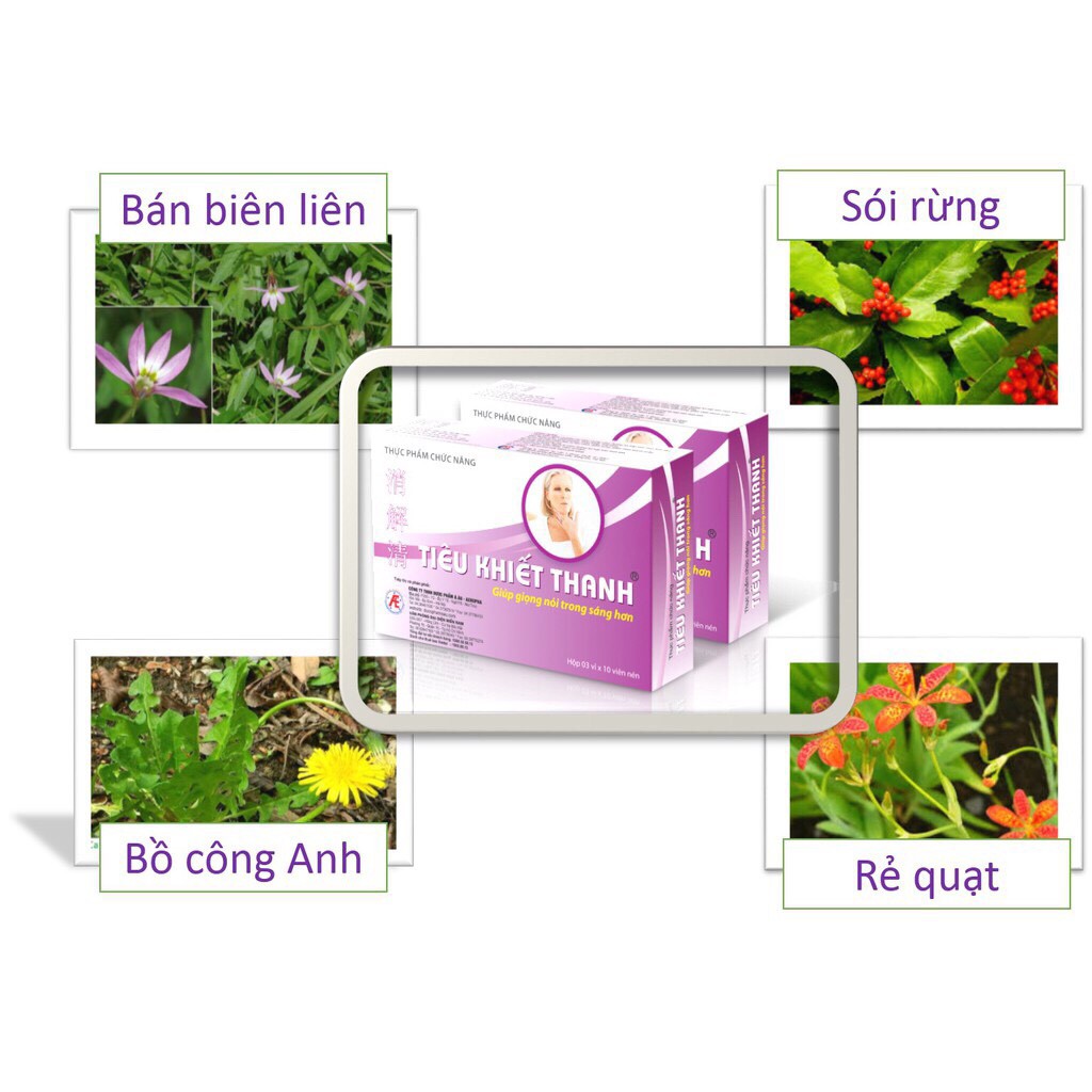 Tiêu Khiết Thanh – Giúp giọng nói trong trẻo, hỗ trợ điều trị viêm thanh quản, viêm amidan, khản tiếng (Hôpj 30 viên)
