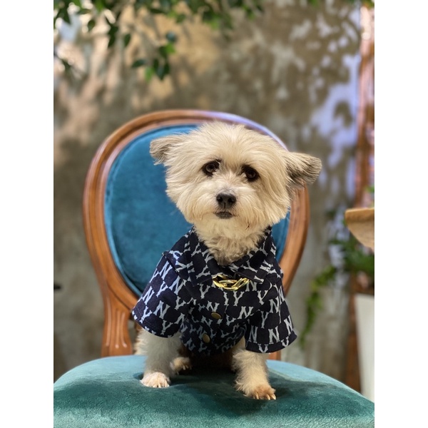 Áo sơmi Denim NY cho chó mèo