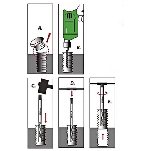 Bộ mở ốc vít gãy, toét đầu 6 Cây LICOTA TAP-50004