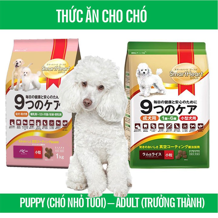 Thức ăn Smart Heart Gold Adult 1kg cho chó lớn trên 1 tuổi - CutePets