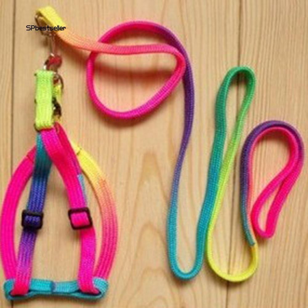 Dây đeo cổ nhiều màu sắc kèm dây dắt cho chó cưng