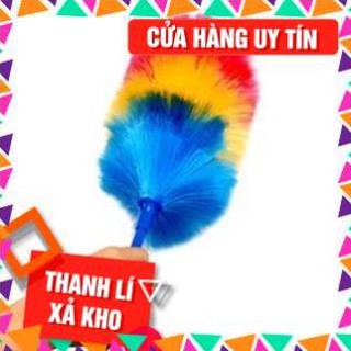 Chổi phất trần