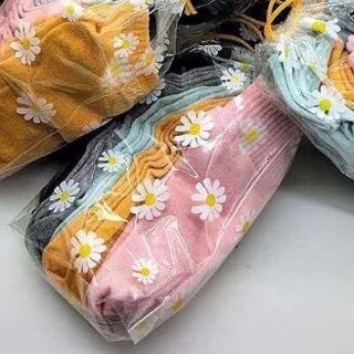 Tất hoa cúc hot trend
