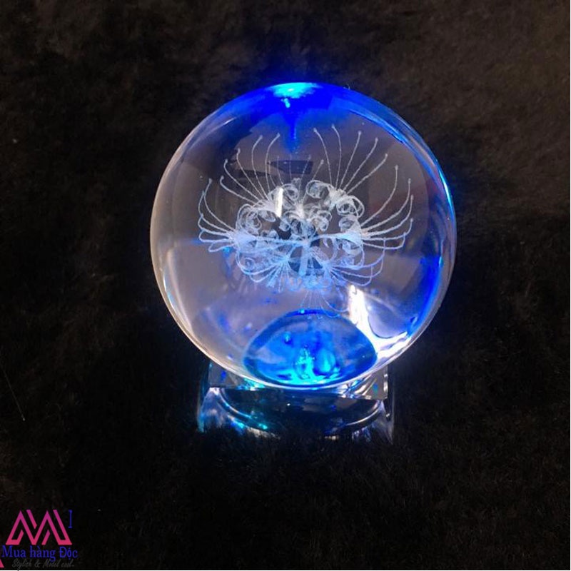 Bộ Quà Tặng Quả Cầu Pha Lê 3D LED hoa bỉ ngạn