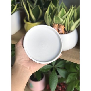Dĩa lót chậu tráng men