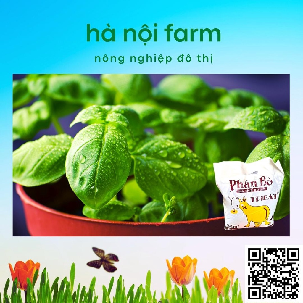 Phân bò khô, phân bò tự nhiên đã qua xử lý dùng cho mọi loại cây trồng gói 800g