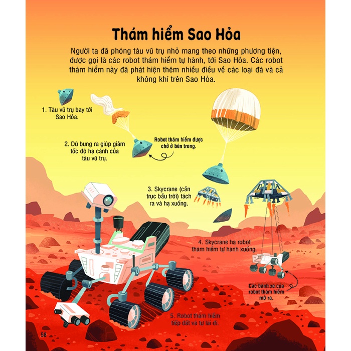 Sách - Bách khoa tri thức cho trẻ em - Đinh Tị books