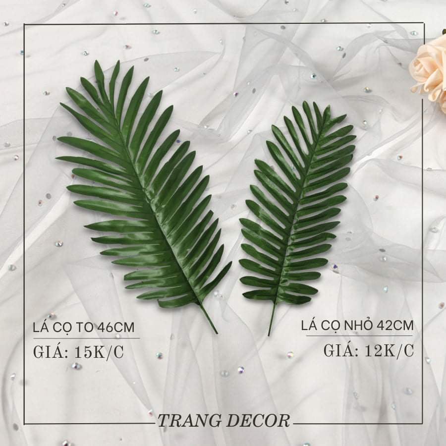 Lá trang trí, lá decor, lá chụp ảnh, lá bó hoa giá chỉ 5000-20000k