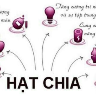 100G HẠT CHIA PHÂN LẺ. DATE 2025.