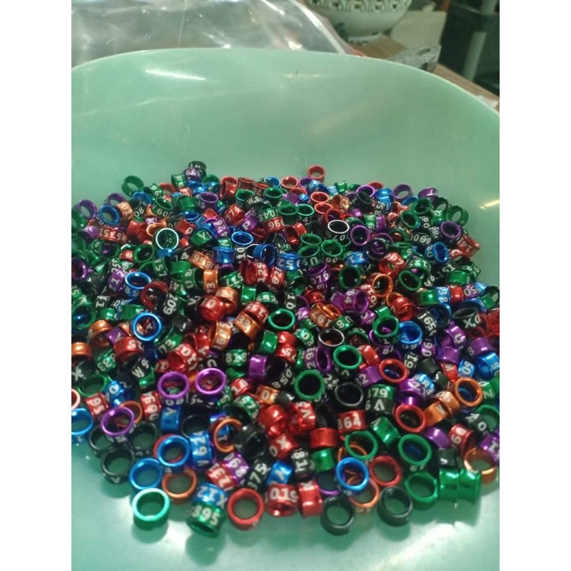 Vòng /nhẫn đeo chân chim choè lửa , than  .