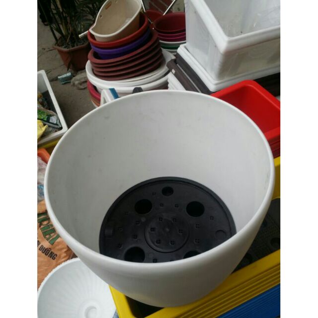 Chậu nhựa tròn cao cấp cỡ nhỏ