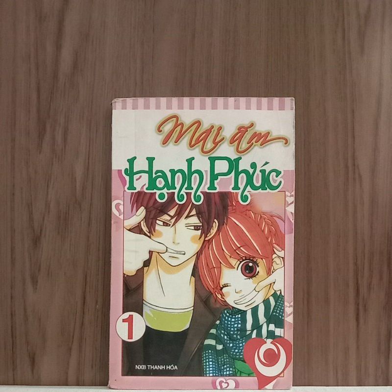 Mái Ấm Hạnh Phúc (trọn bộ 2 tập)