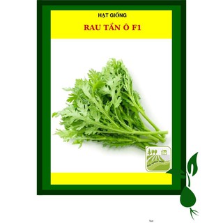 20G - Hạt Giống Rau Tần Ô