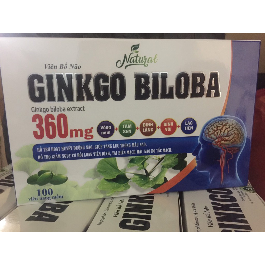 Ginkgo Biloba hỗ trợ hoạt huyết dưỡng não, giúp tăng lưu thông máu não, giảm nguy cơ rối loạn tiền đình, tai biến não
