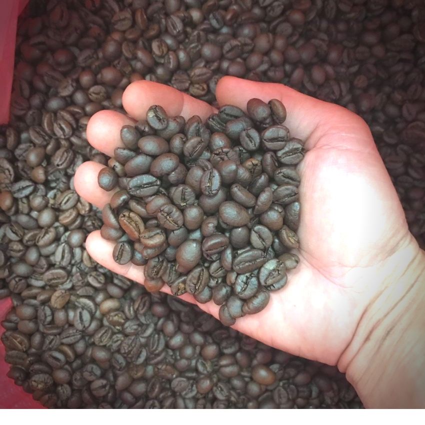 [TẶNG PHIN NHÔM] 500GR Cafe Pha Phin Robusta Honey Chất Lượng Cao 100% Rang Mộc - 551 Coffee | BigBuy360 - bigbuy360.vn