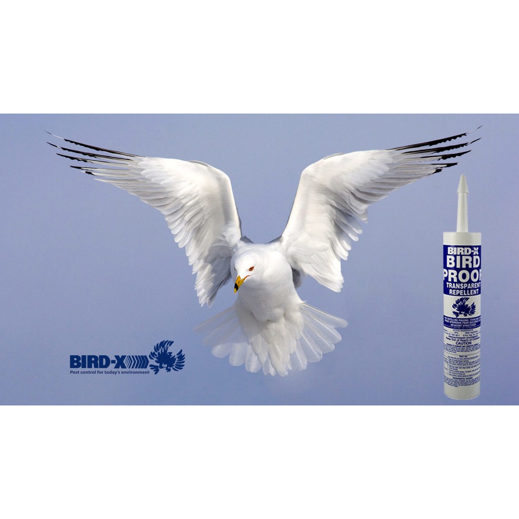 Gel xua đuổi chim Bird-X Bird-Proof