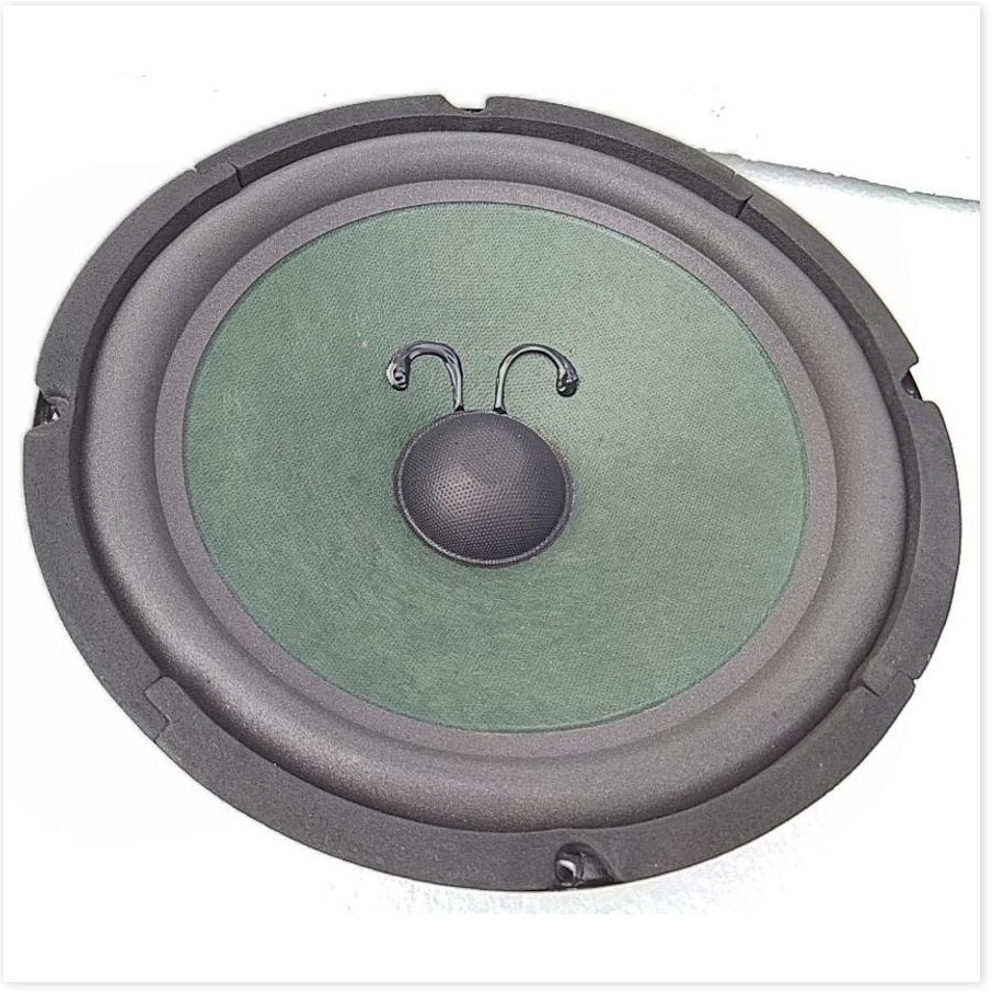 MỘT CỦ LOA BASS 25 HE TỪ 120 - LOA BASS GIÁ RẺ